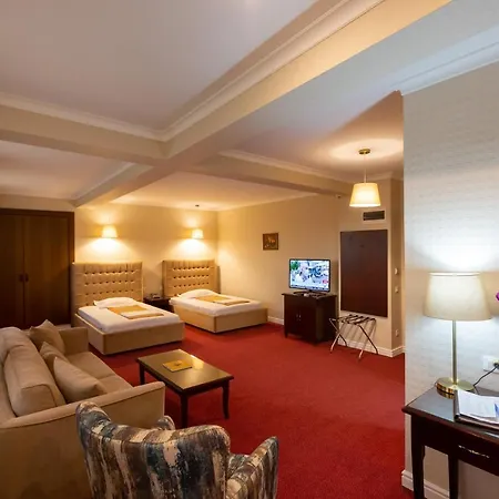 Art Hotel Buzau